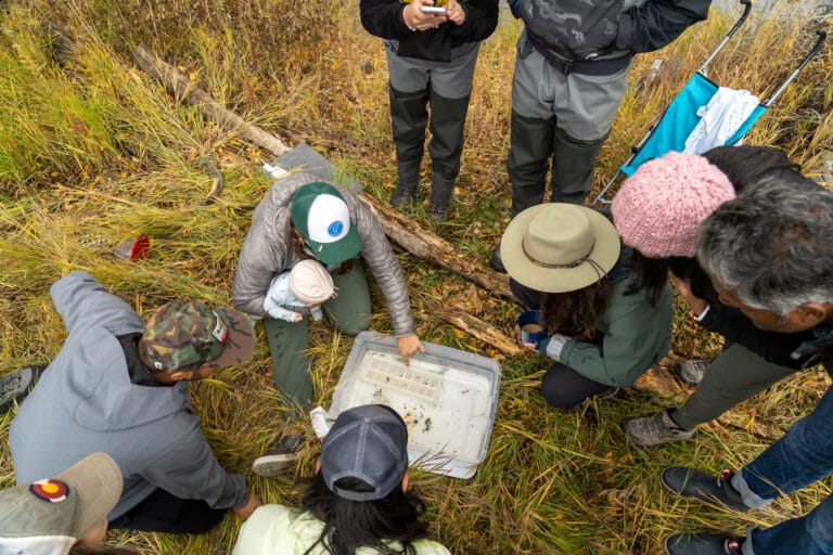 Bugs with Mags: Why aquatic insects deserve conservation attention